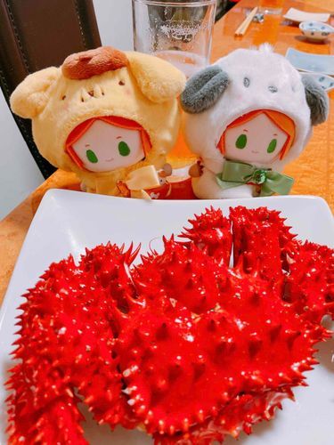 ひ「でかいよゆうたくん！！(>_<)💦」

ゆ「…あにきこわいの？」