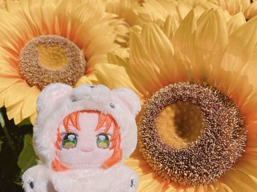 きみのほんぽーなーまーぶしーさー みせーてほしいよー♪🌻