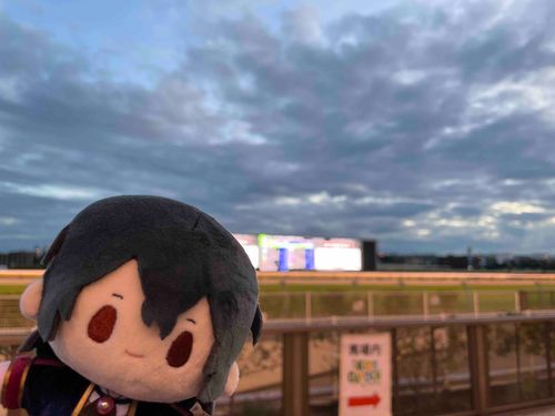 とうきょうけいばじょう…なかなかにたのしいところじゃったのう、じょうちゃん。