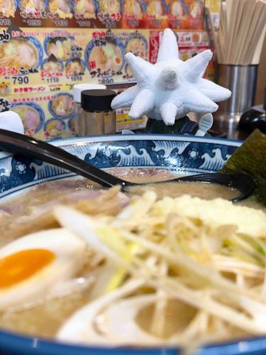 デンジュモクは見つめるだけ
