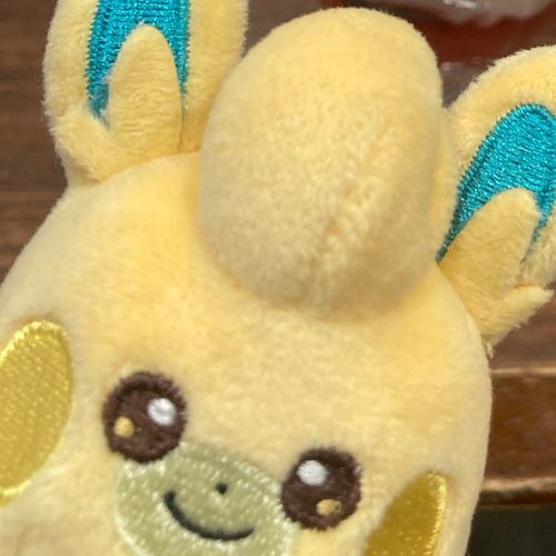 えふさんちのモッパだよ