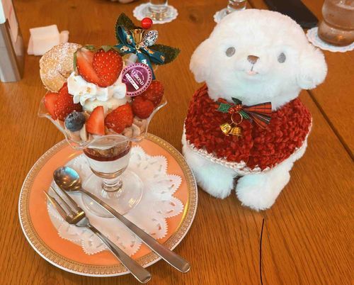六本木でクリスマスパフェを食べたよ- ̗̀ 🎂  ̖́-

ぽてちのクリスマスポンチョとお揃いのいちごパフェ🍓🐄