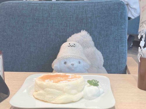 パンケーキ半分こ𓌉🥞𓇋 ‎

ぽてちは小さいけど食いしん坊だよ🤍🫧

隣の席のマダムが褒めてくれて嬉しかった🤲´-