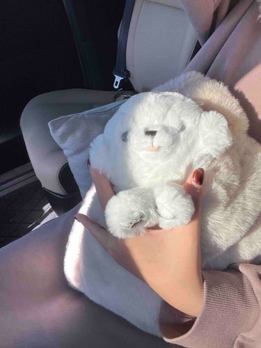 最近は忙しくて中々ぽてちとお出かけできないな💦

いい子でねこちゃんとお留守番してるよ🐈🐾