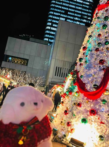 昨日は久しぶりにお出かけ🚗³₃

スカイツリーの広場でクリスマスマーケットが…！

ぽてちはチュロスを食べたよ〜🥨*॰ॱ