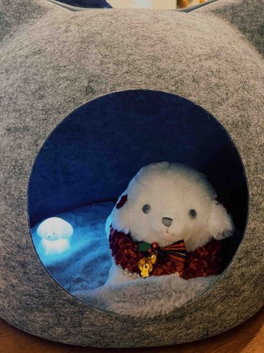ぽてちの部屋を紹介するよ🤍🫧

中はふかふかであったかい.*･ﾟ☃️.ﾟ･*.

今日、ぽてちに似たライトをプレゼントしたよ🎅🏻🎄.*