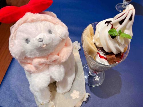 今日はお出かけ🚗 ³₃

不二家のパフェを食べたよ🍦🥄

ぽてちはももいろうさちゃんに変身🎀🪄