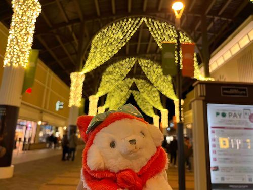 昨日はアウトレットでお買い物したよ.*･ﾟ☃️.ﾟ･*.

イルミネーションがきれいでどきどき>⩊<✨

もう少しで今年も終わりだね‪🥲‎