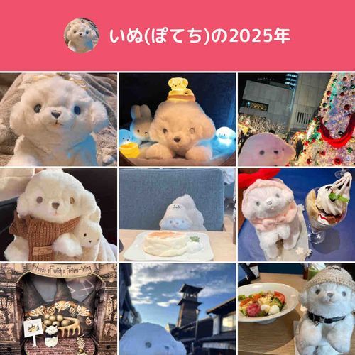 10月から毎日一緒にいるね>⩊<✨

来年もよろしく🎍🐓🎍

みんなも良いお年を🌟｡:*