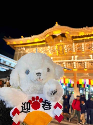 明けましておめでとう！🐴

初詣に行ったよ🌟｡:*ぽてちもお正月バージョンに🫶

今年もよろしくね✨️