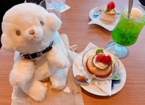 こんにちは🌟｡:*

今日は喫茶店にいったよ☕️𓈒 𓂂𓏸

プリンとクリームメロンソーダ🍈꙳ ⟡