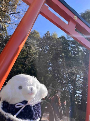みんなお久しぶり✨️

大きめの病気にかかってしまって、なかなかお出かけできなかったよ😿➰‪‪💧‬

厄払いに香取神宮に来たよ⛩ . 💥  ,,