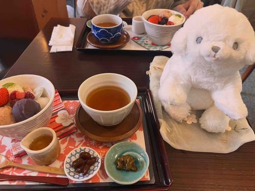 お久しぶり✨

少し体調が落ち着いたので、さくらあんみつを食べてきたよ🌸