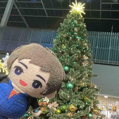 キラキラのクリスマスツリーだ！💫