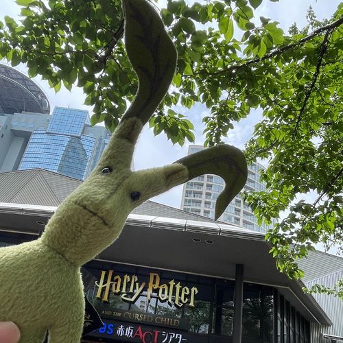 こちらぴけっとです🌱
舞台を観に行きました