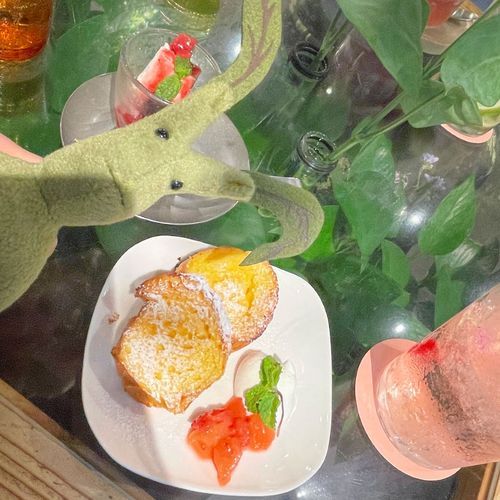 ピケ、同化してる……⁉️🌱