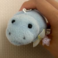 さおティー