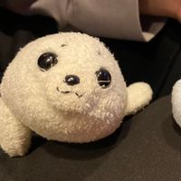 あざティー