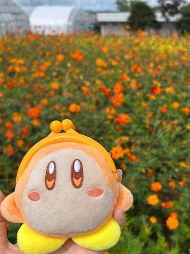 北海道に旅行してきたがにゃ！
オレンジ色のお花綺麗がにゃ〜🍊