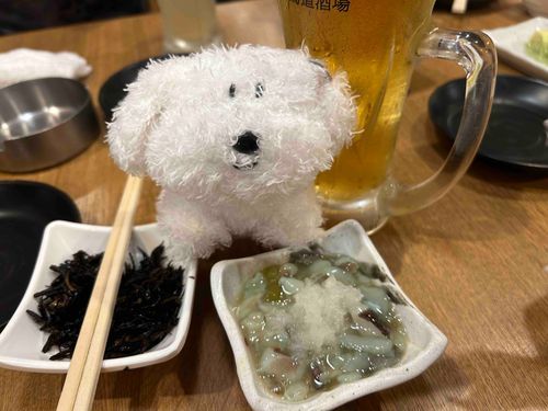 べーこん はじめての居酒屋 いった
べーこんはお酒のまないけどね🍼