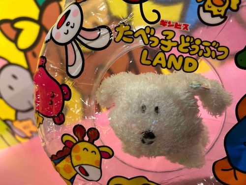 横浜のたべっ子どうぶつランドにいってきたよ
どうぶつのおともだちが たくさんいたよ(*^_^*) べーこん大満足!!