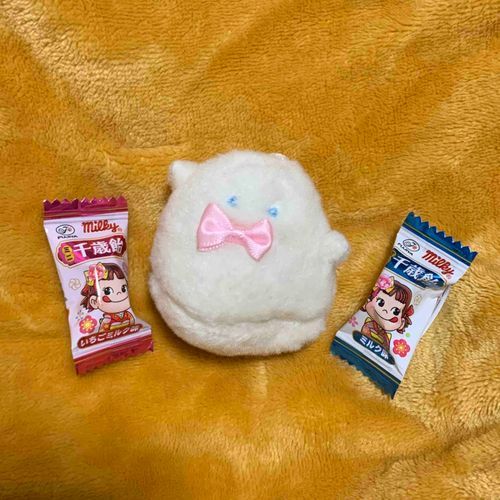 ぬしさんしょくばのひとからかわいいあめもらったんだって。ぱけちサイズのちとせあめ。ぱけちもふわもこのみんなと、おきにいりのおかしわけっこたいかいしたいな。