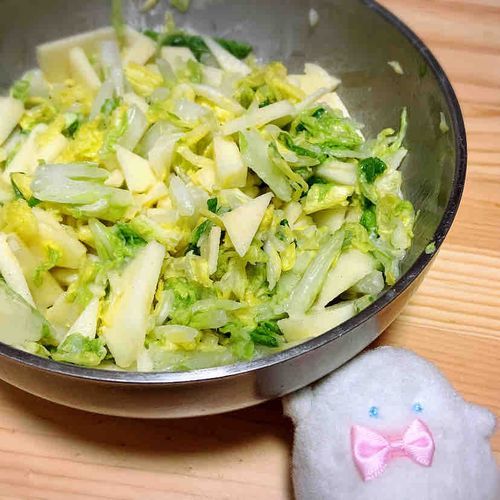 ぴーしゃん(ぴーしゃんのふわもこのおともだちけいゆ)からおそわった、はくさいとりんごのサラダ。ぬしさんがさっそくつくってくれたよ。ぱけちもぴーしゃんとおなじく、はちみつおおめでいただきます。