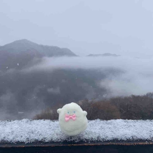 もくもく。これもまたいっきょう。おさるのやまでおさるさんにクッキーあげたかったけど、ぱけちがたべられちゃいそうだったからぬしさんのそばにいたよ。