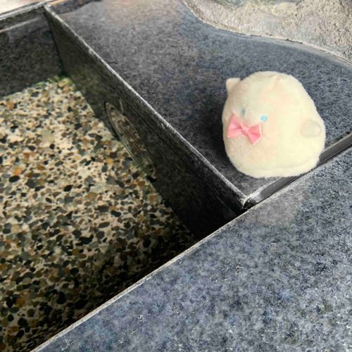 ぬしさんあしゆはいってた。ぱけちにはむずかしいから「てゆ」にいってみたけど、てゆでもおっとっとしちゃうよ。