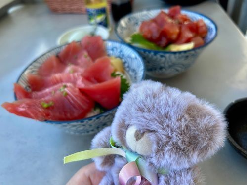 まぐろどん〜