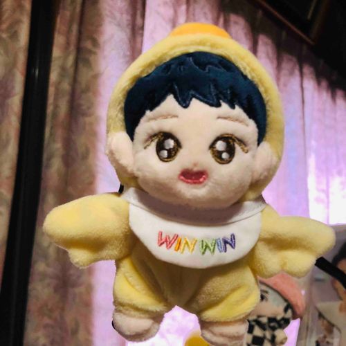 とっても小さい子を初お迎えしました
アギ🍼ウィン
ぬいというよりかマスコット的な感じ？
君はどういうポジションになるのかこれから考えるよ🙄