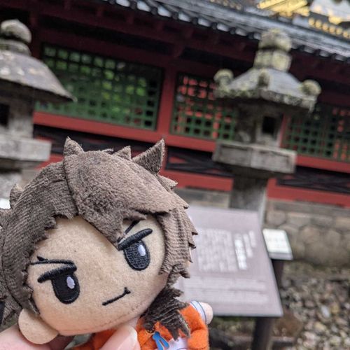 むっちゃん、日光東照宮だよ