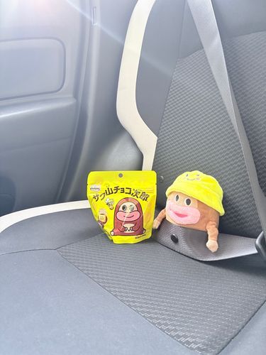 ちゃんとシートベルトつけてえらいね