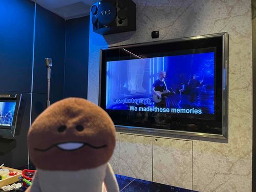 カラオケ🎤