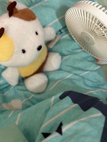 かぜにあたってるだけなんだ。さむいからでもあついからでもなく、かぜをあびているすがたがかっこいいからだ。