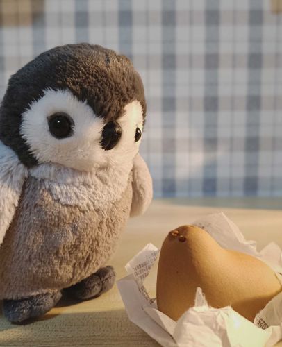 なにかひかれる このふぉるむ