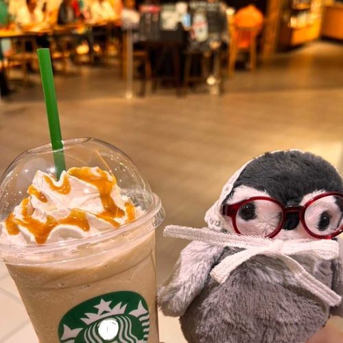 スタバだね おペン

女神さんが人間判定されない撮り方のコツ ある方教えていただけませんか泣🥲︎