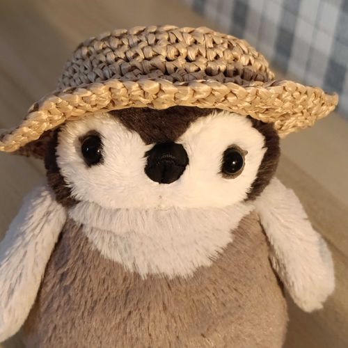 麦わらぼうし できたよおペン 👒
天気よくなったら いっしょにおでかけ いこうね