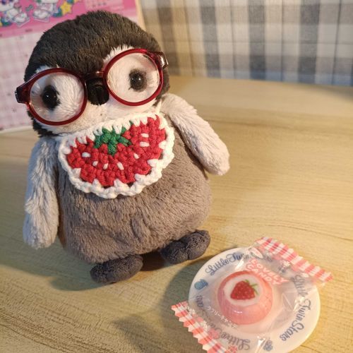 いちごのキャンディ 🍓
いちごのスタイも つくったよ
いってらっしゃい〜