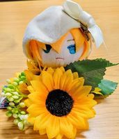 もちんば