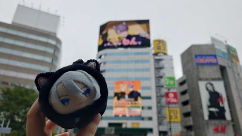 わんごろにゃんをみてきた記録
