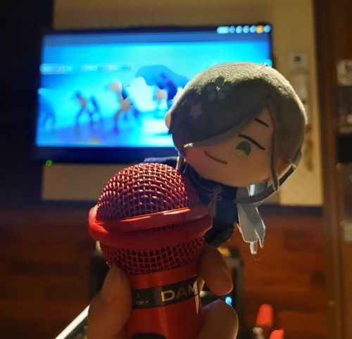ああえ君とカラオケした記録