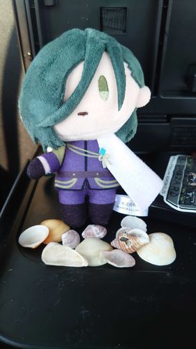 貝殻いっぱい拾ったよの記録（過去）
