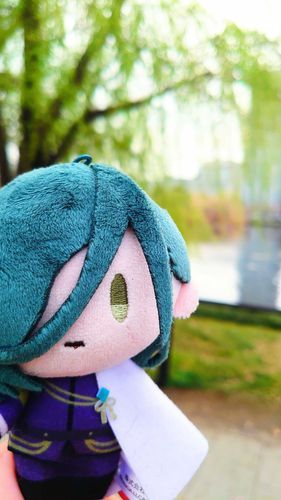 上野の公園での記録（過去）