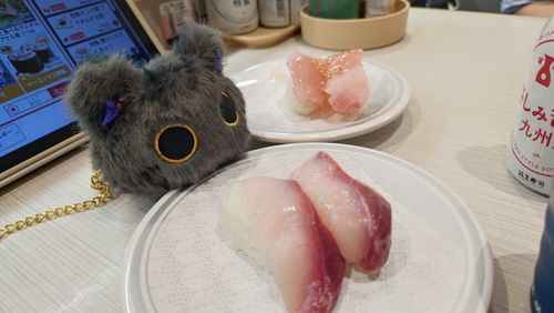 ふわふわとおすしの記録