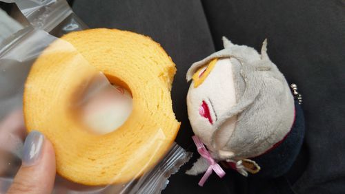 ばうむくーへんを選んだにゃーもち
