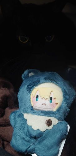 新入り君とねこの記録
