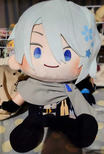 おっきいちょうぎお迎えした記録
ずっとまってたんだよ