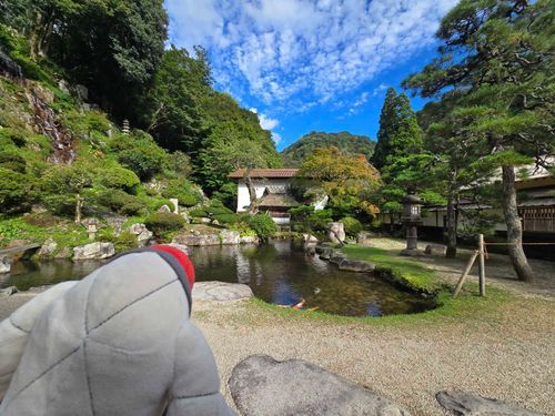 トレーナーに　こっそり　とられていたな
ここは　さくらいけ　トレーナーがはまっている　ヴィヴァンというドラマの　さつえいがされたばしょだ
いっしょにいった　トレーナーの　おかあさんが　いちばん　うきうきしていたな　トレーナーも　きもちのよいばしょだと　いっていた
ひだりがわに　たきがあるんだ　いいおとで　こころも　あらわれたぞ