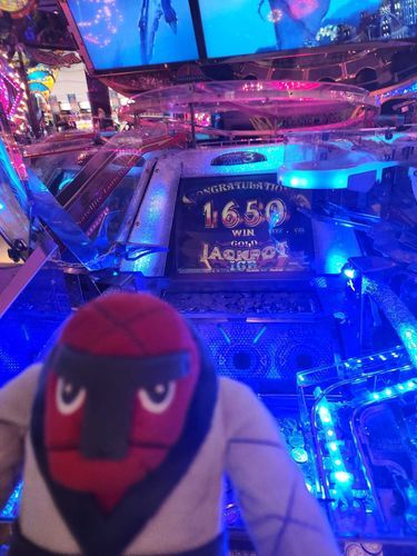 あるときのおれは　トレーナーに　ゲームセンターにつれていかれた
なにやら　いっぱいメダルがでて　びっくりしたな　りょこうさきなのが　くやまれた